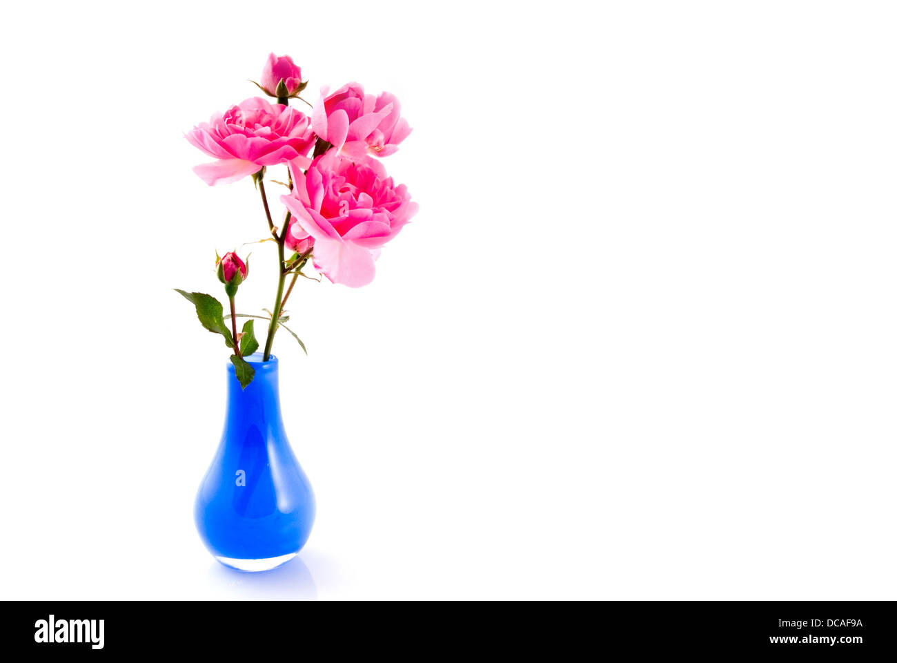 Petit vase avec des roses Banque D'Images