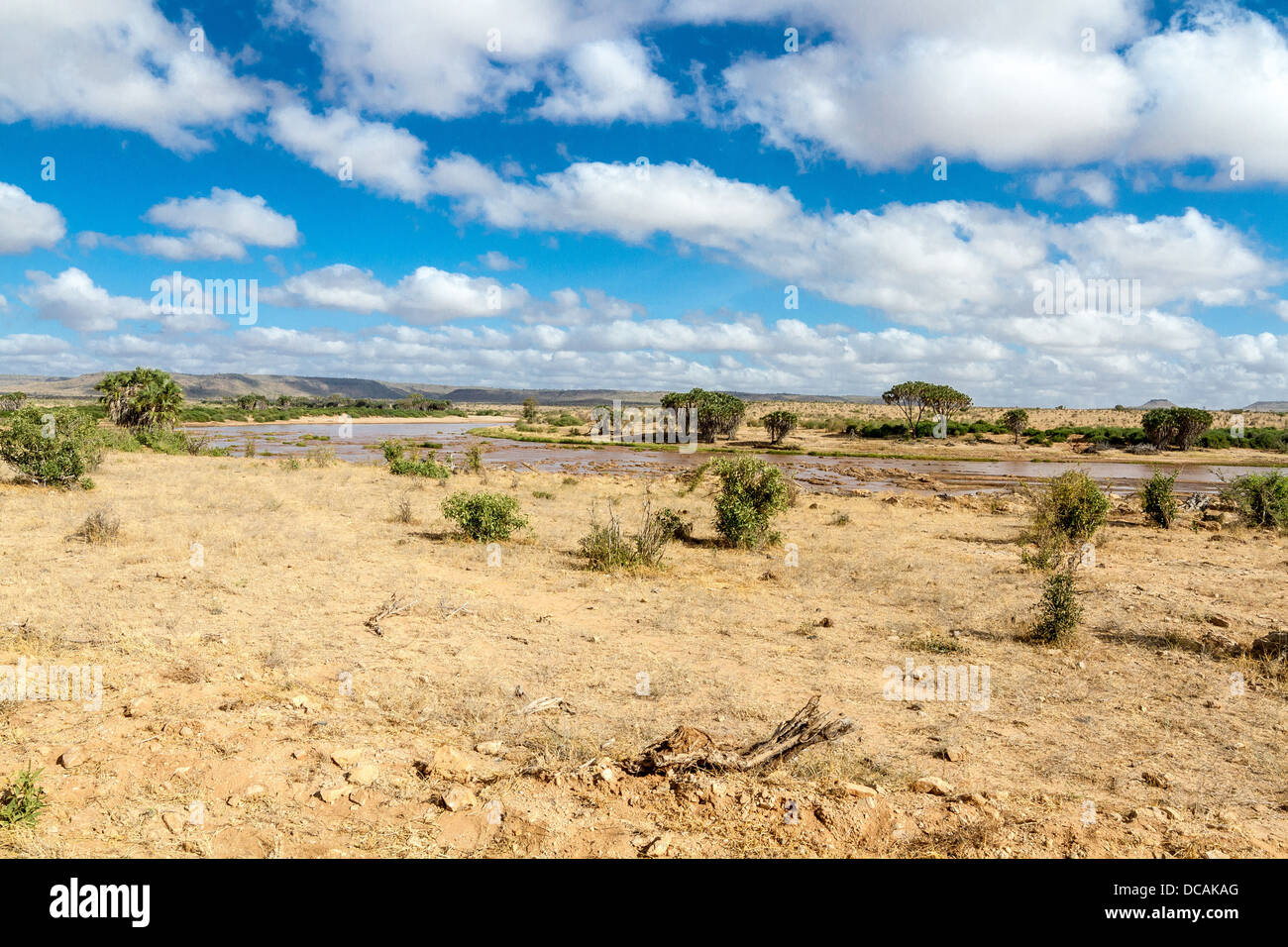 Paysage de savane en Afrique. L'Ouest de Tsavo, au Kenya. Banque D'Images