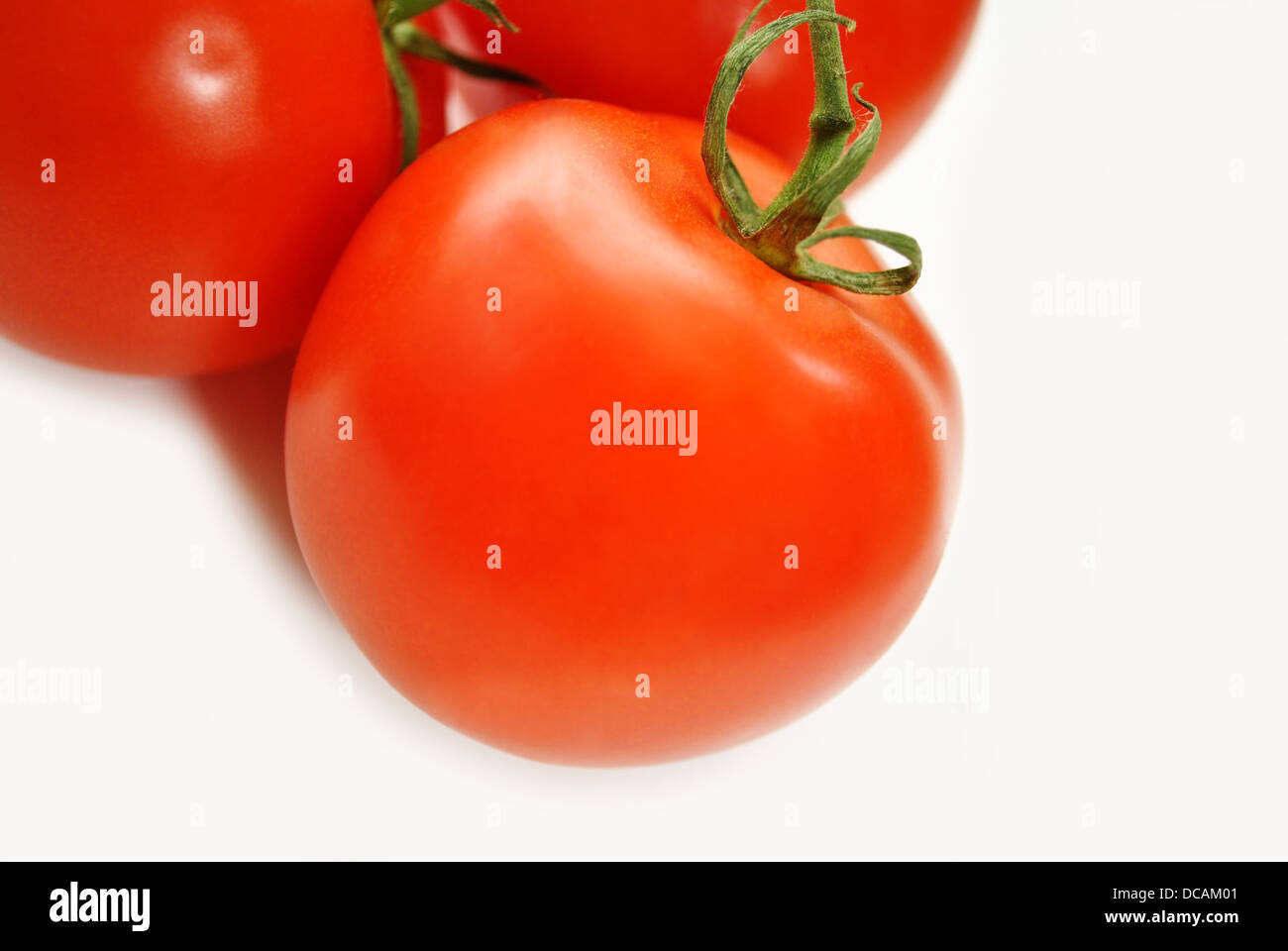 Faire mûrir les tomates de vigne Banque D'Images