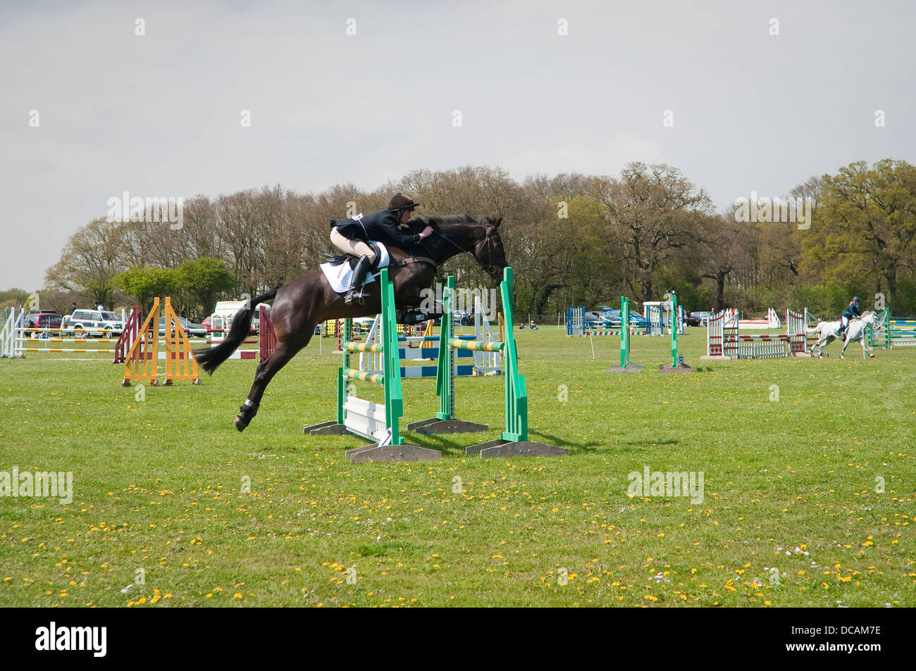 Jeune homme rider au cours de concours de sauts à la Suffolk Horse Show. Showgrounds Ipswich, Suffolk, UK. Banque D'Images