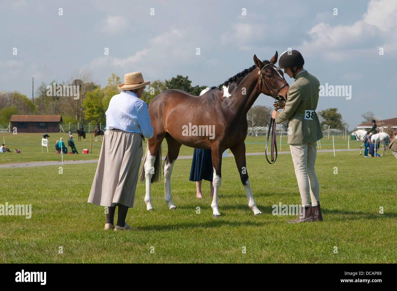 Un cheval étant jugé à Suffolk Horse Show 2013 à Ipswich, Royaume-Uni. Banque D'Images