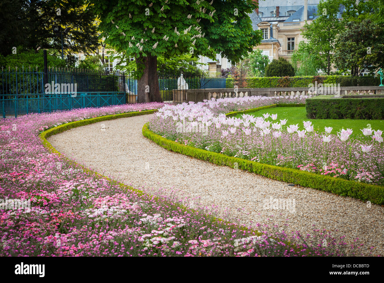 Allée de jardin dans le Jardin du Luxembourg, Paris France Banque D'Images