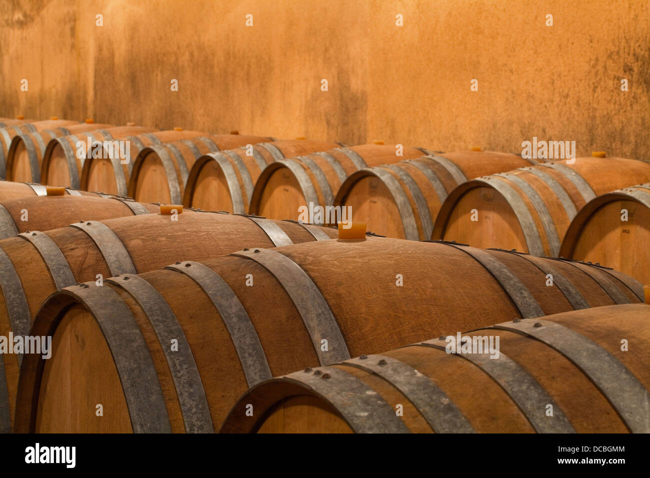 Les tonneaux de vin en bois utilisé pour le vin à l'âge Gitton et fils dans la région de Sancerre. Banque D'Images