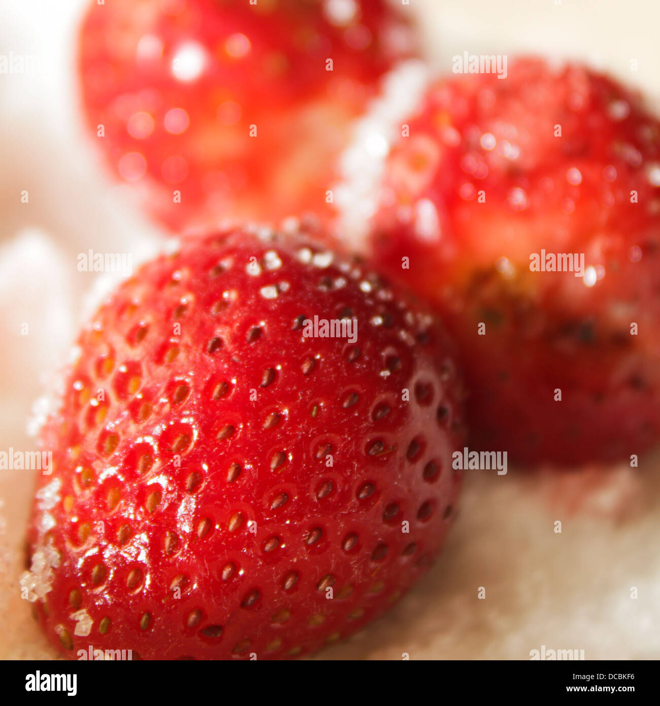 Les fraises avec du sucre saupoudré sur Banque D'Images