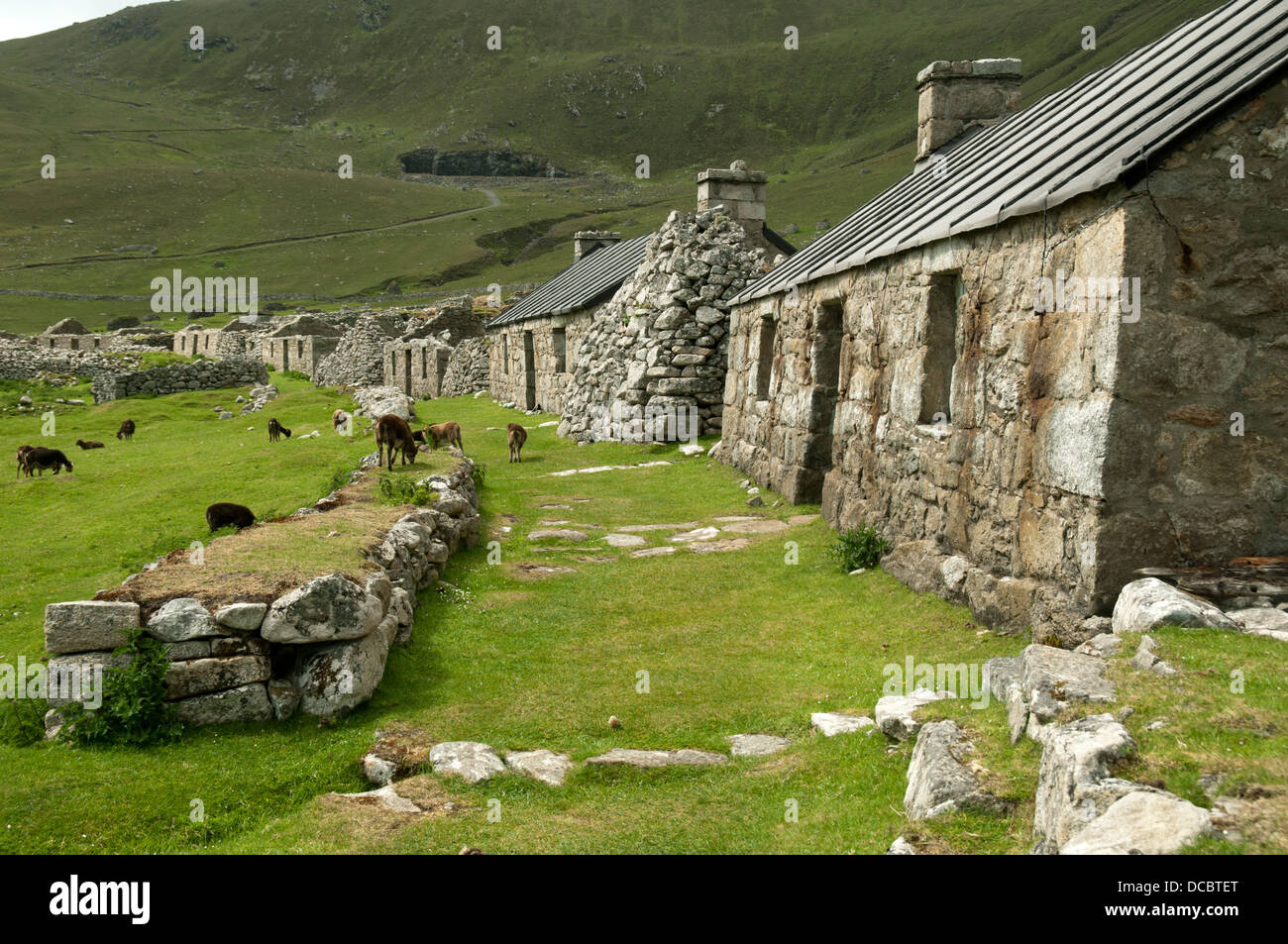 Gites dans le village-rue, hirta, St Kilda, îles Hébrides, Ecosse, Royaume-Uni Banque D'Images