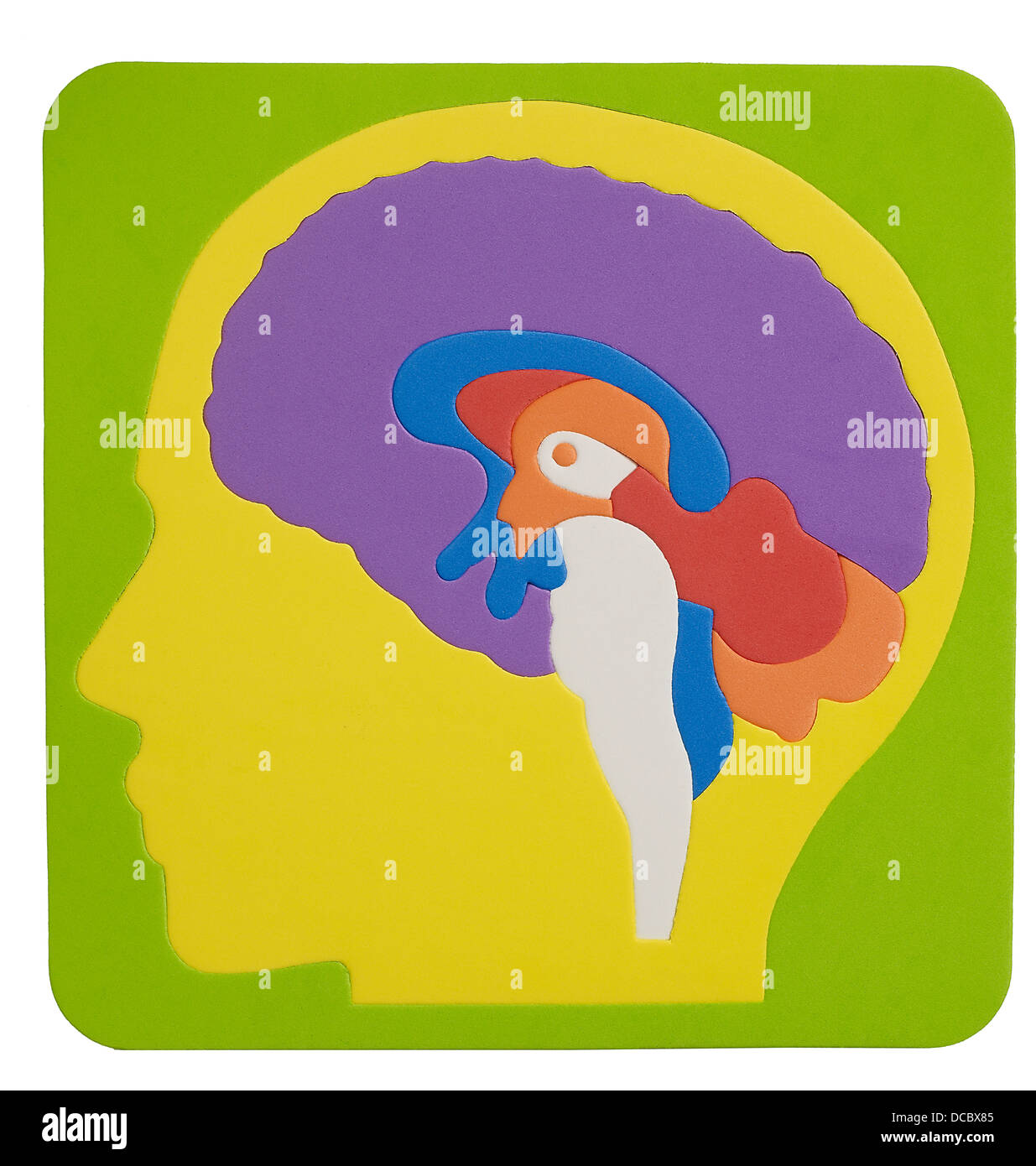 Puzzle de cerveau Banque D'Images