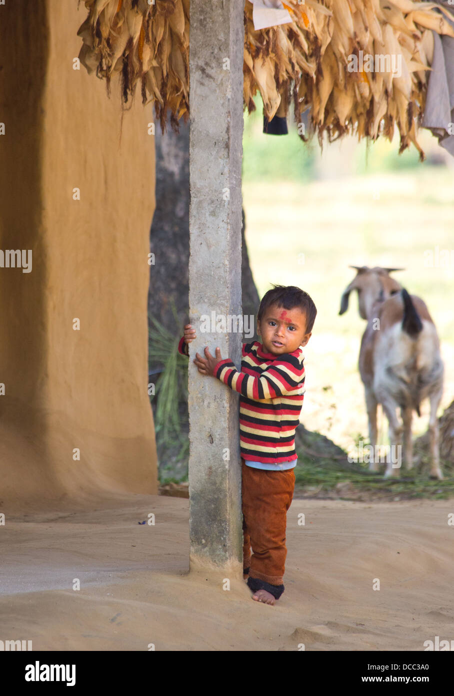 Jeune garçon dans un village Tharu dans la région du Teraï Népalais Banque D'Images