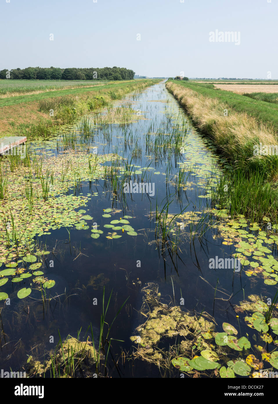 Digue de drainage Fenland Banque D'Images