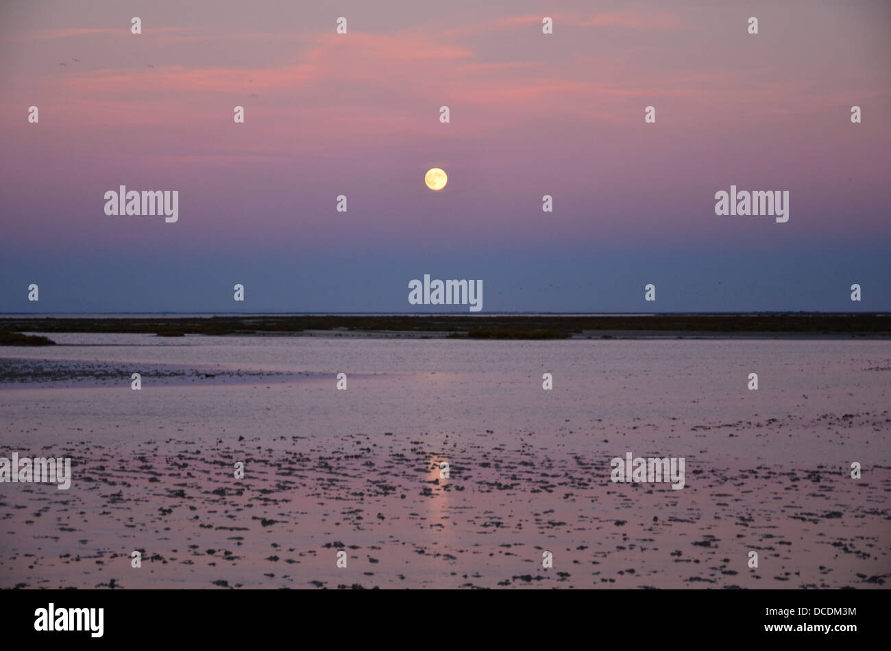 Stes.-Maries-de-la-Mer, coucher de soleil sur les marais, Camargue, Provence, France Banque D'Images