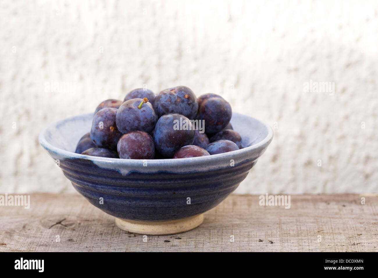 Prunus domestica. Bol de prunes quetsche fraîchement cueillis. Banque D'Images
