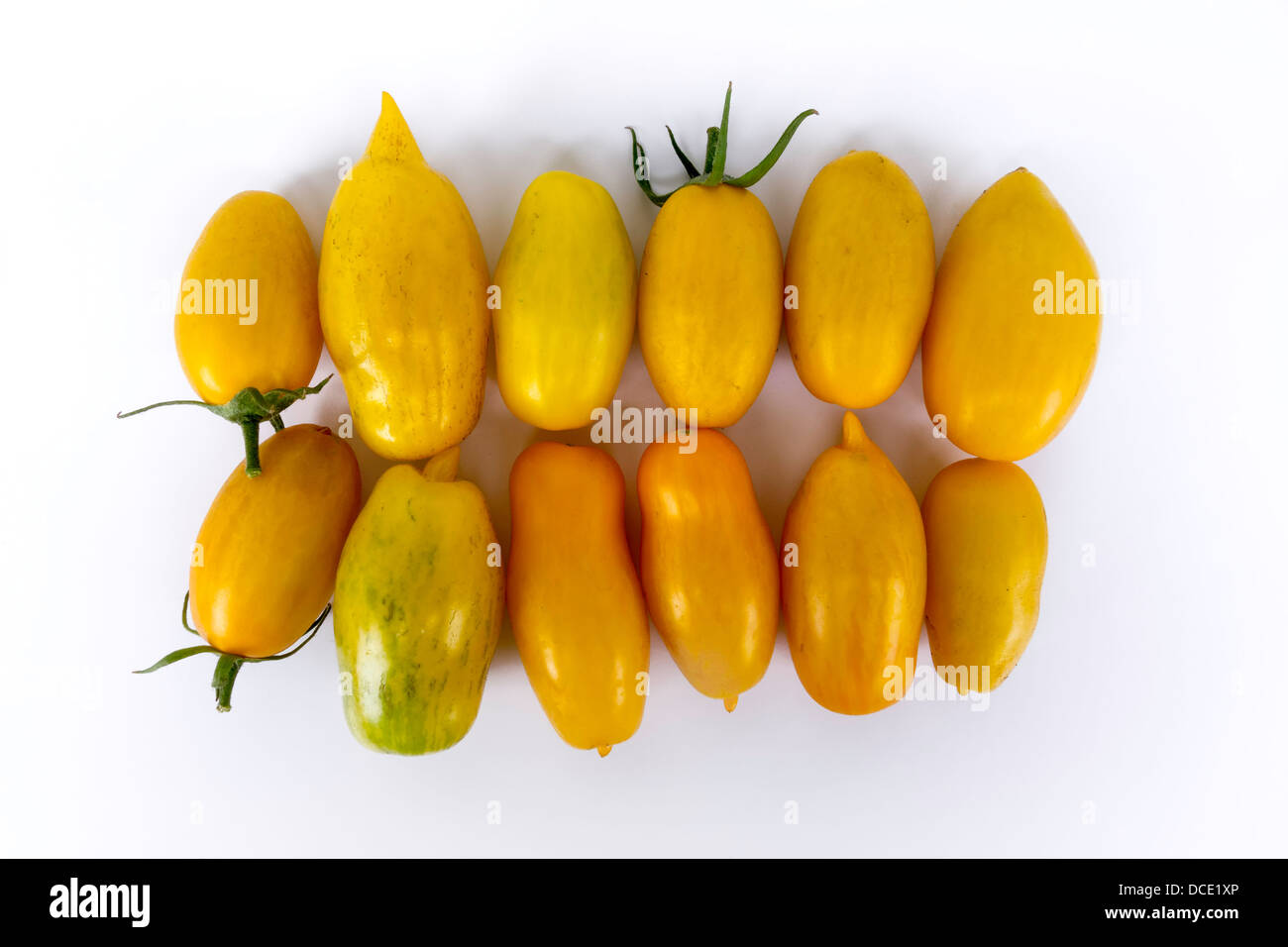 Les tomates fraîches marzano jaune sur un fond blanc Banque D'Images