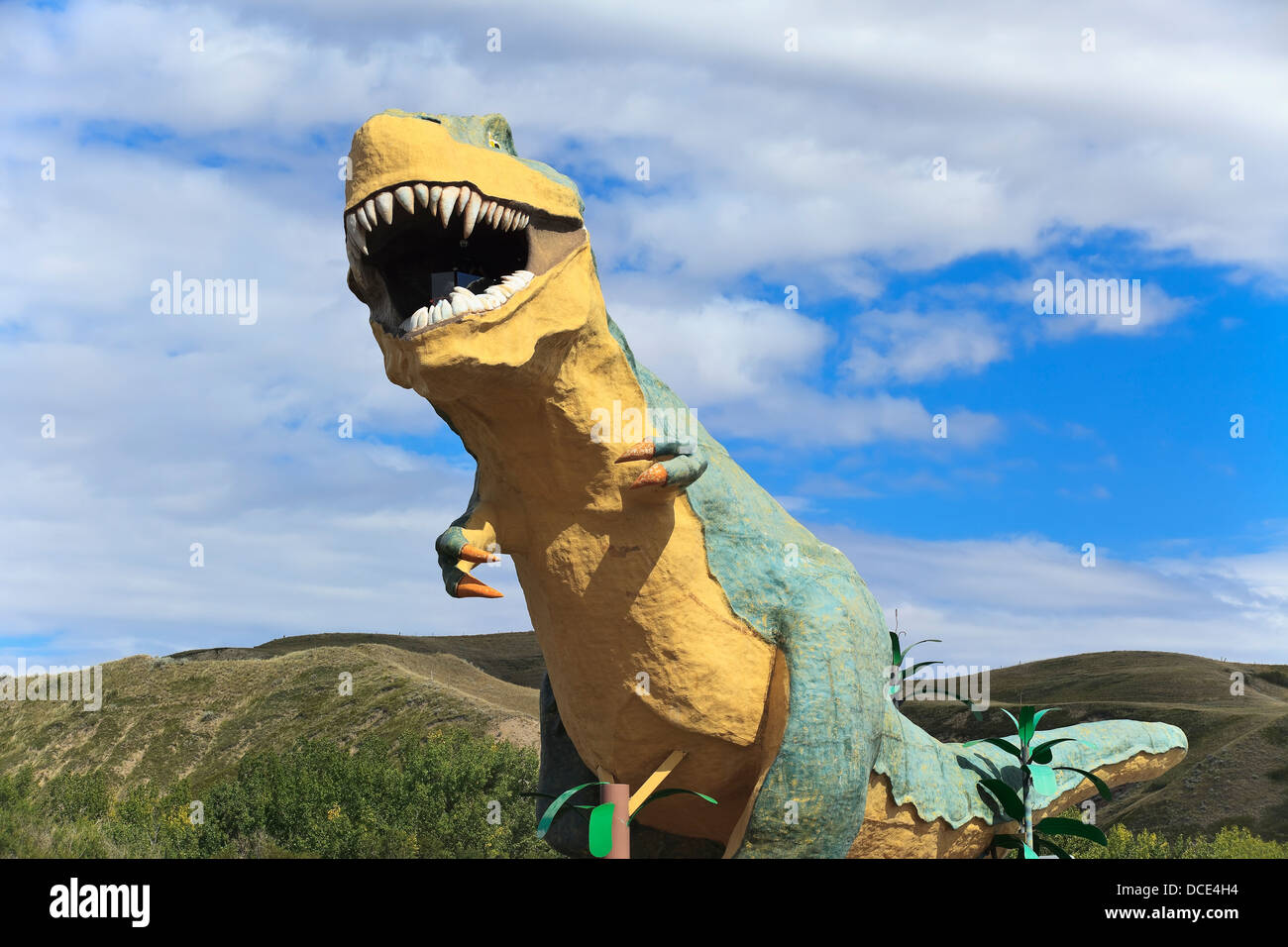 Du modèle le plus grand dinosaure au monde tyrannosaurus rex ; Drumheller, Alberta, Canada Banque D'Images