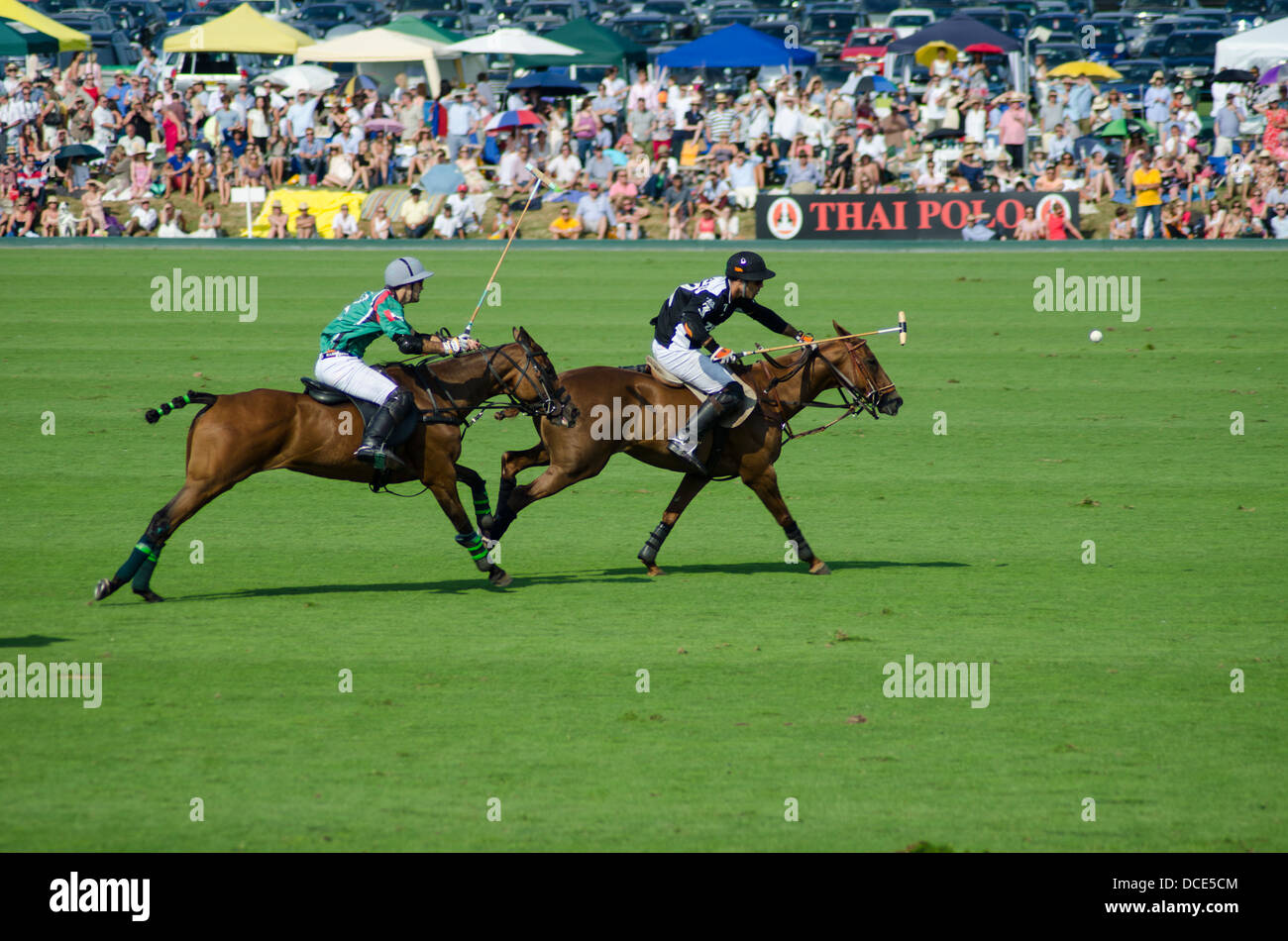 Cowdray Polo Gold Cup, Park Banque D'Images