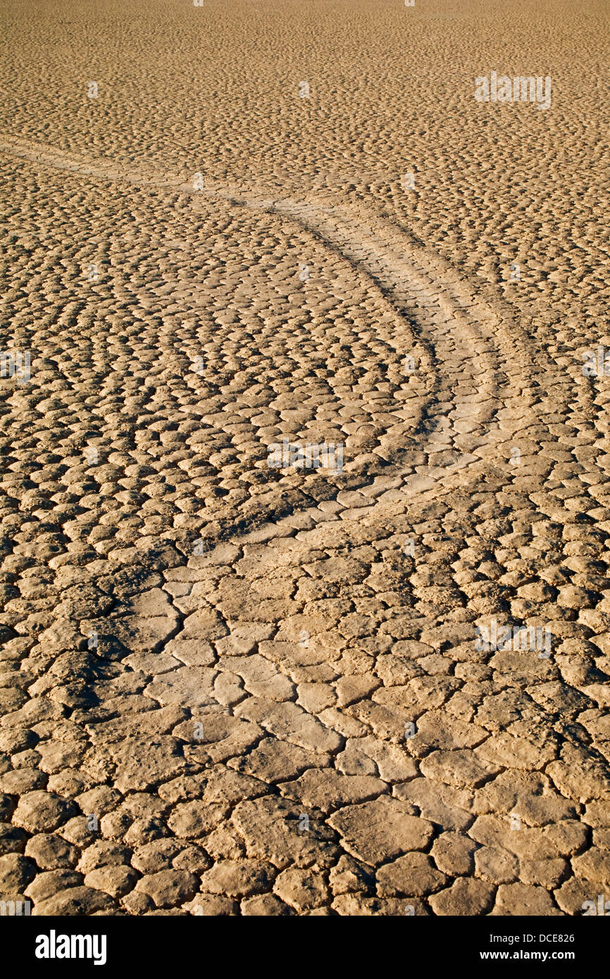 Traces laissées par de mystérieux déménagement roches sur la séchés à plat à l'Hippodrome de boue Playa, Death Valley National Park, Californie Banque D'Images