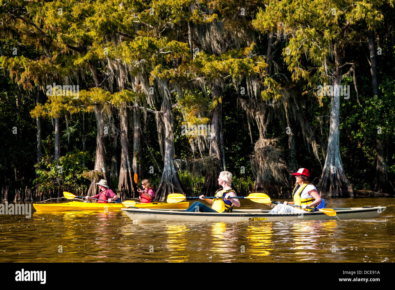 USA, Louisiane, bassin Atchafalaya, lac Fausse Point State Park, kayakistes au milieu de la mousse espagnole. Banque D'Images