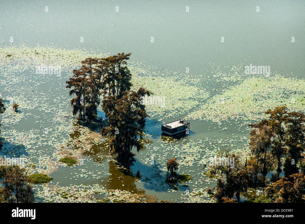 USA, Louisiane, bassin Atchafalaya, paroisse de Saint Martin. Péniche et le cyprès chauve le long de rive nord du Lac Martin. Banque D'Images