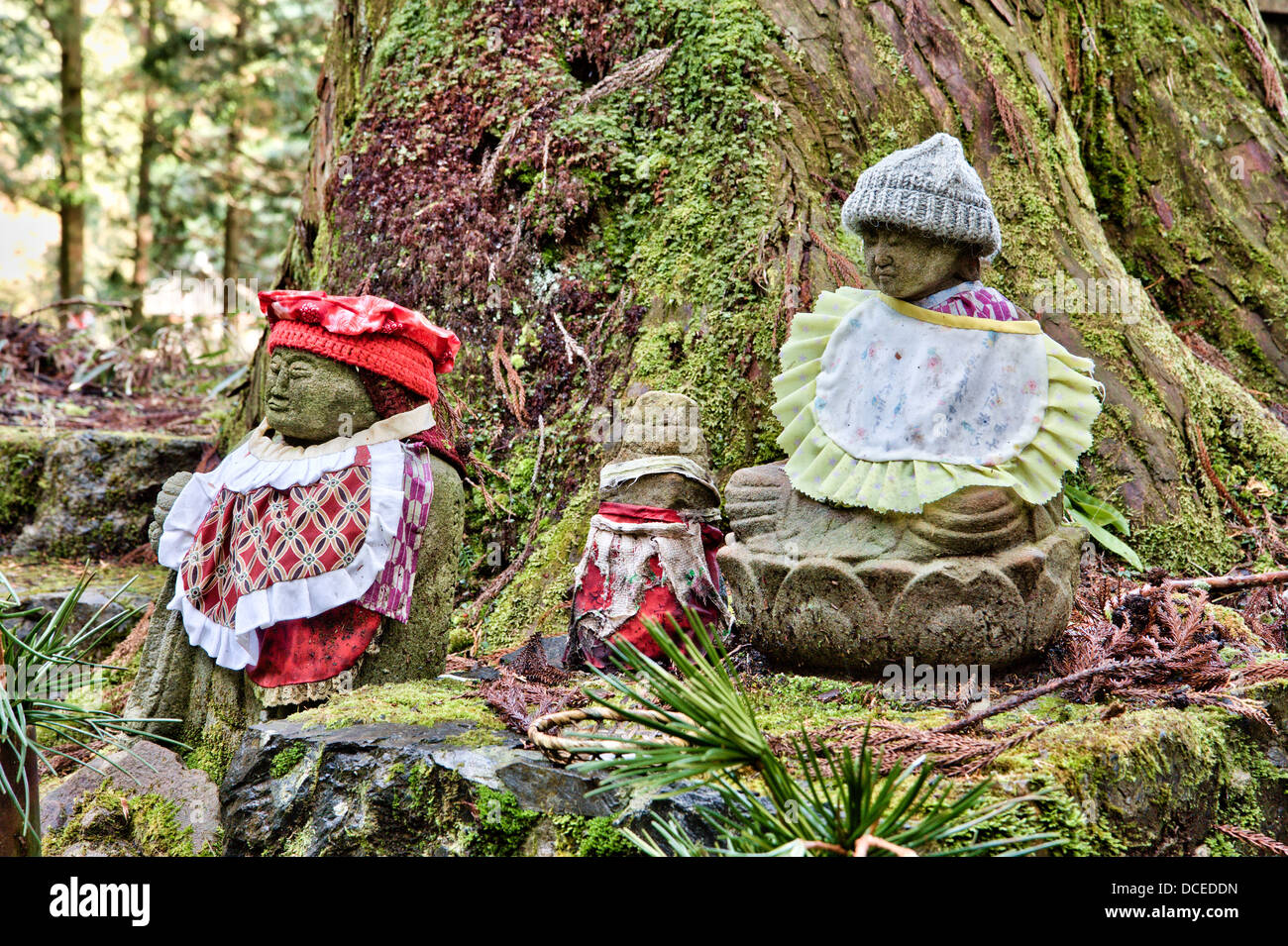 Trois statues en pierre de jizo laissées à la base couverte de mousse d'un cèdre. Tous sont hatés et saisis. L'ancien cimetière japonais Okunoin. Banque D'Images