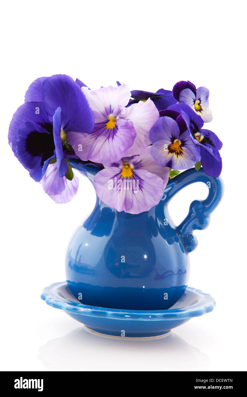 Vase bleu avec des pensées Banque D'Images