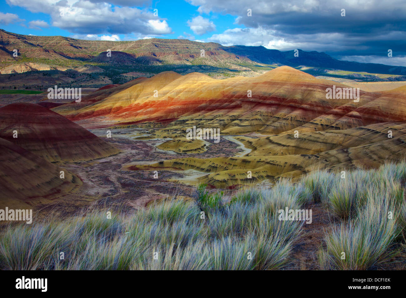 USA (Oregon). Le paysage de collines peintes, John Day Fossil jumeaux National Monument. Banque D'Images