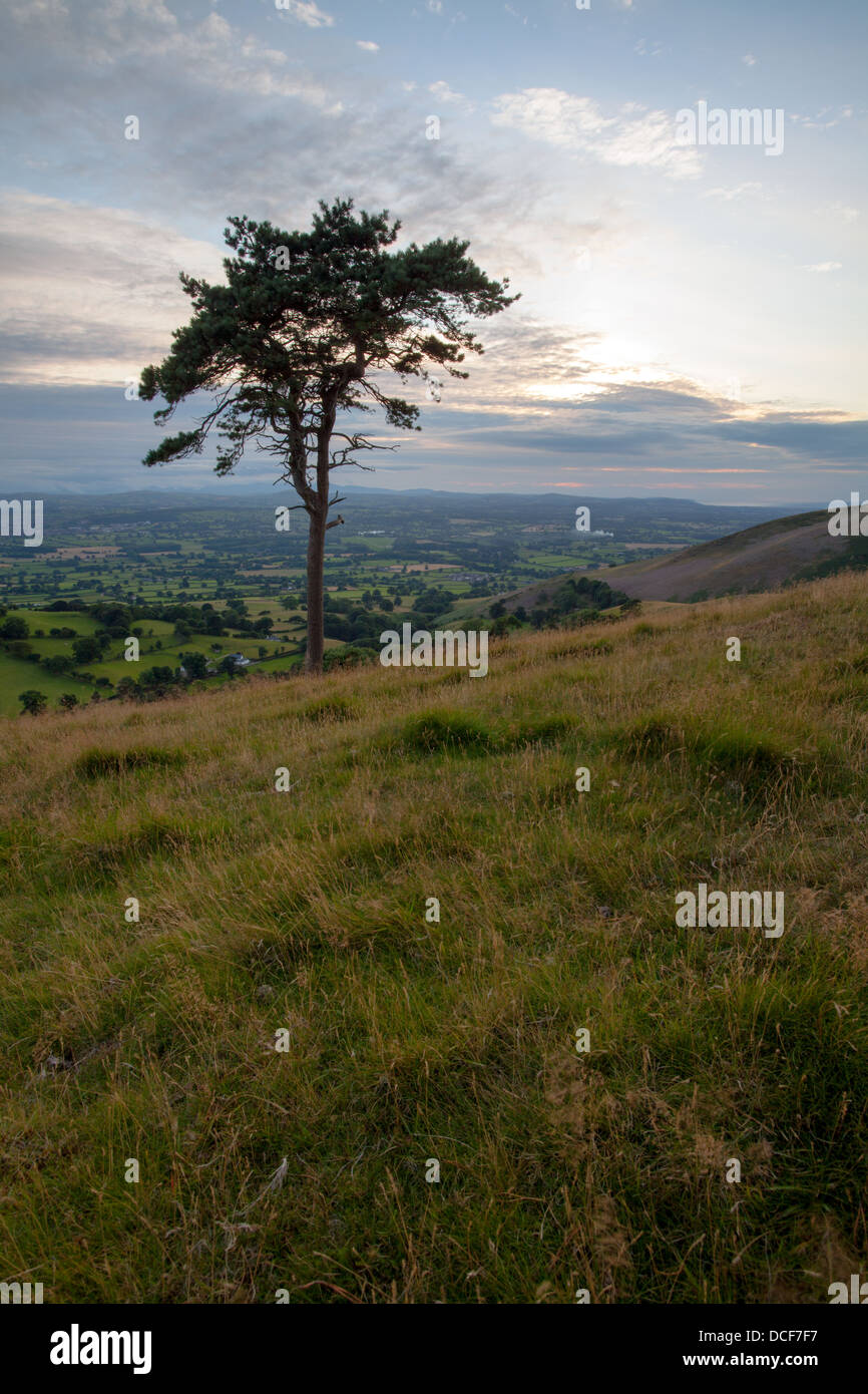 Coucher de soleil sur la vallée de Clwyd du hllside de Moel y Parc dans la gamme Clwydian sur le Rhône de la cuisinière. Banque D'Images