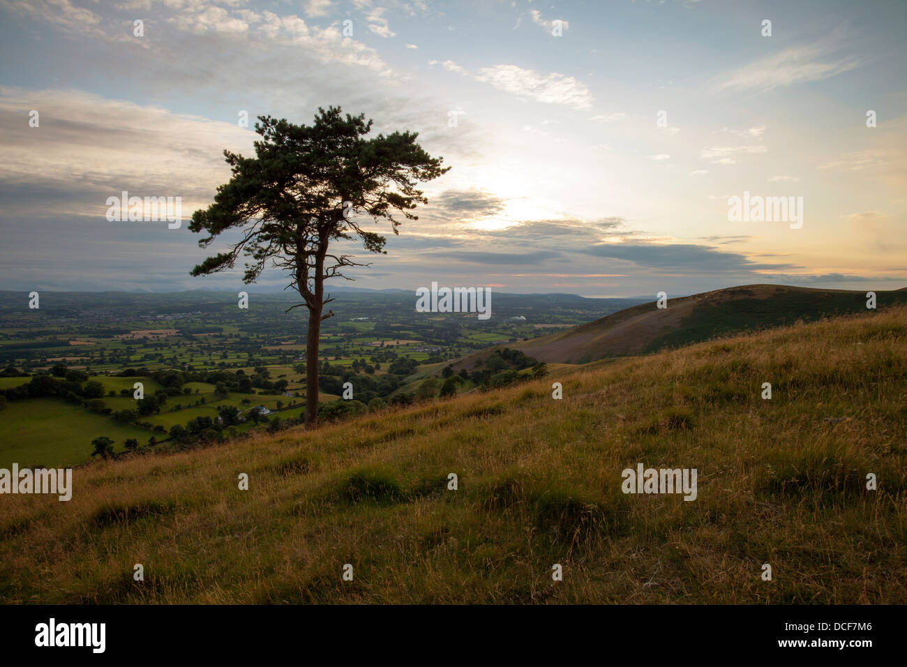 Coucher de soleil sur la vallée de Clwyd du hllside de Moel y Parc dans la gamme Clwydian sur le Rhône de la cuisinière. Banque D'Images