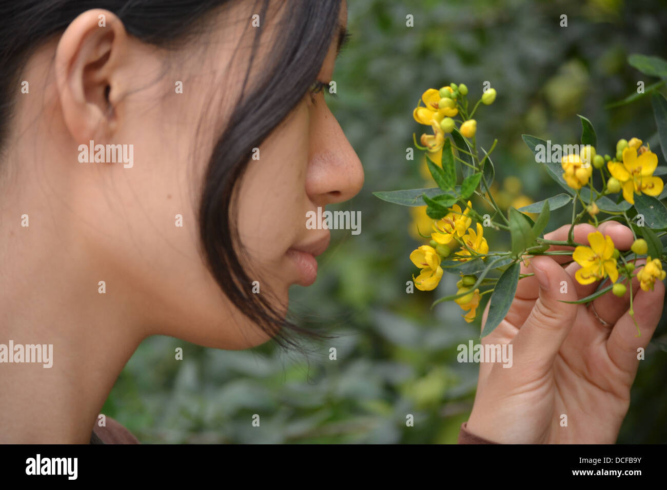 Belle fille chinoise peu odorantes fleurs jaunes dans la nature Banque D'Images