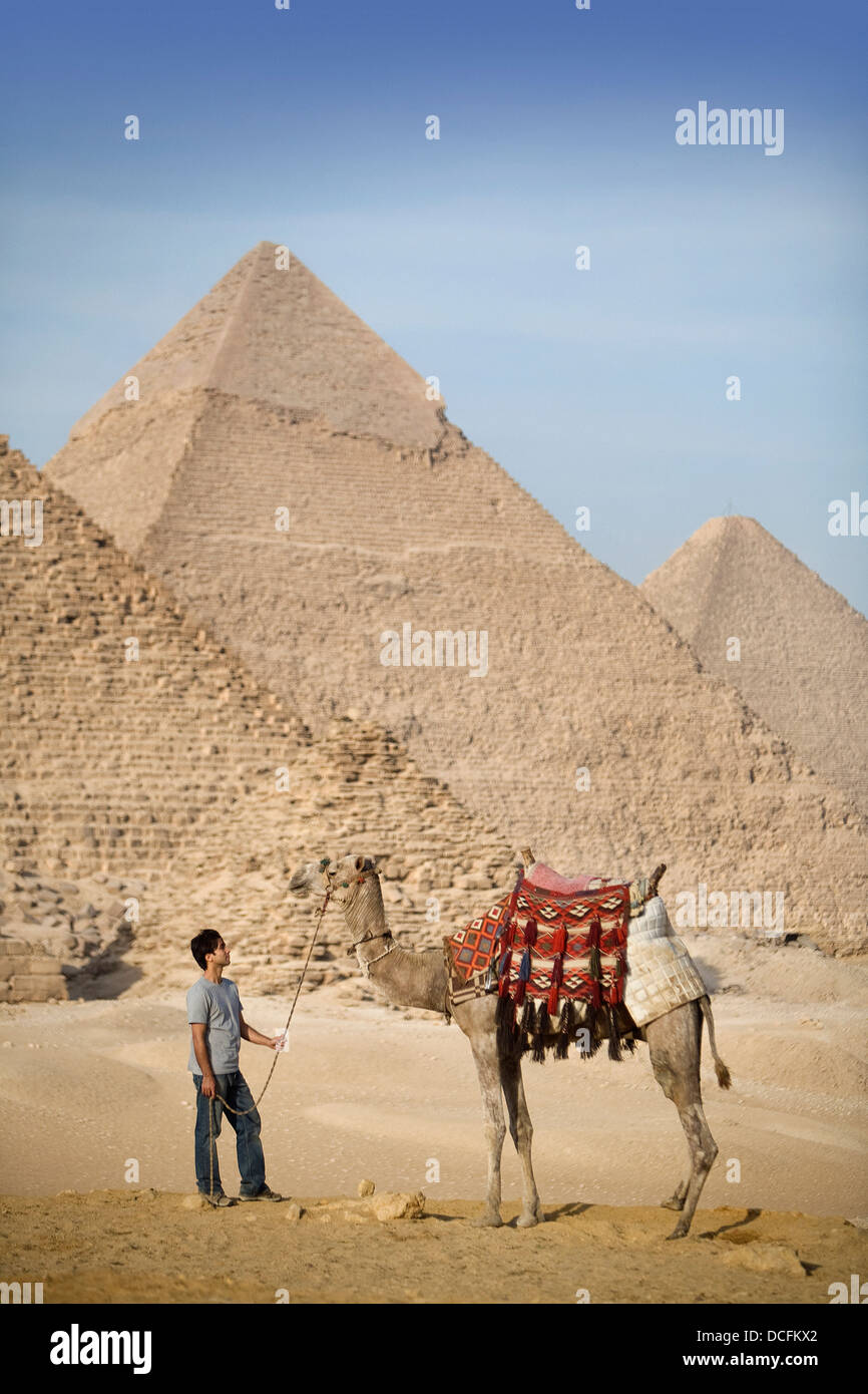 Un homme et chameau avec les pyramides en arrière-plan Banque D'Images