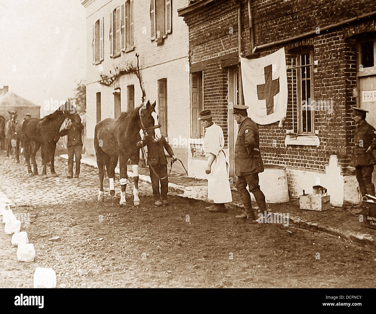 La Société de la Croix Bleue de l'hôpital de chevaux pendant la WW1 Banque D'Images