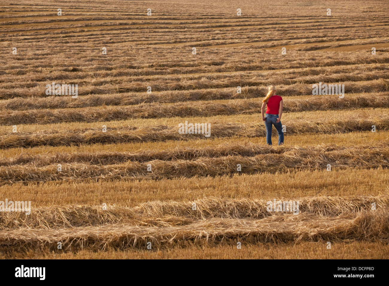 Une femme se trouve dans un champ de blé récoltés ; Three Hills, Alberta, Canada Banque D'Images