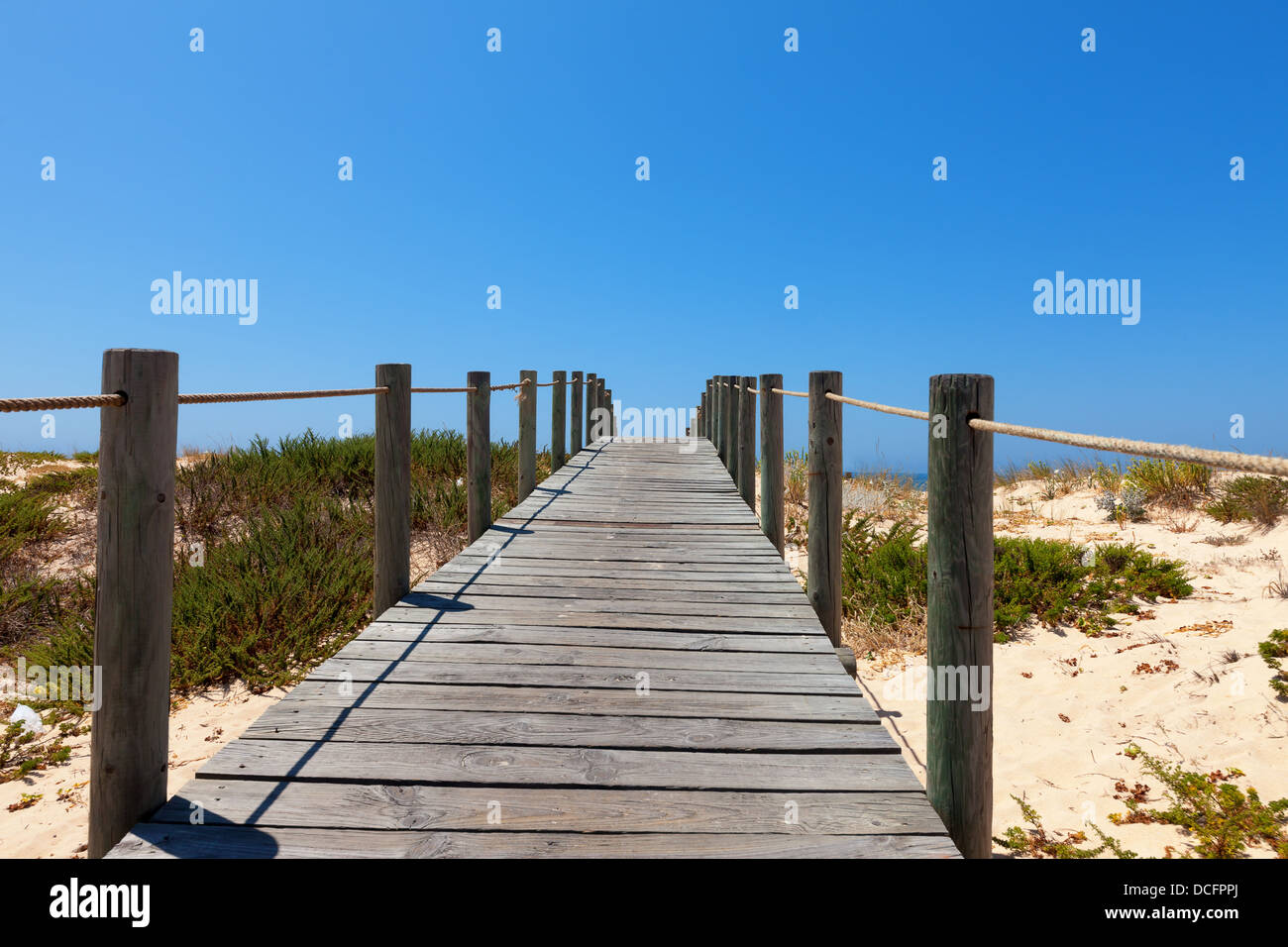 Promenade en bois surélevée déserte la protection d'un écosystème fragile Banque D'Images