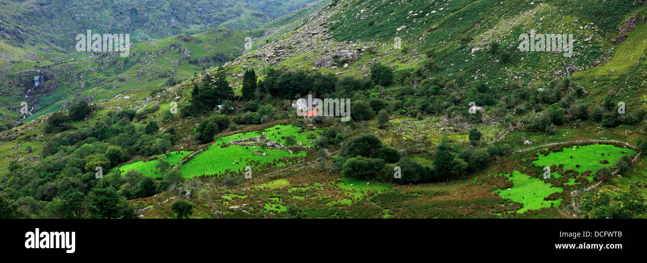 La vallée verdoyante de la vallée noire, irlandais, le comté de Kerry, Irlande Banque D'Images