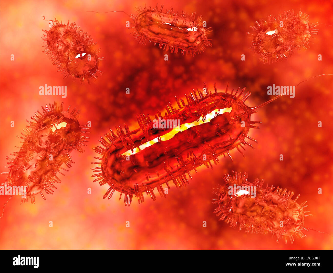 Groupe de bactéries Escherichia coli cellules, connues sous le nom de E. coli. Banque D'Images