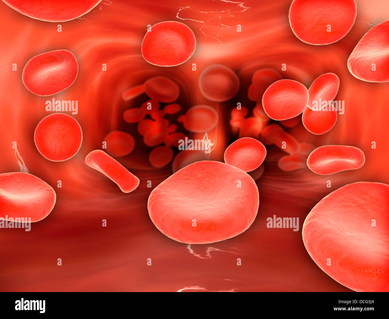 Vue microscopique des globules rouges circulant à l'intérieur des poumons. Banque D'Images