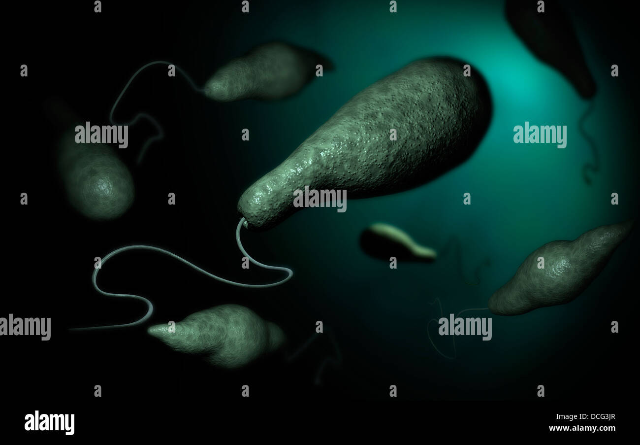 Image conceptuelle de l'euglène. Banque D'Images