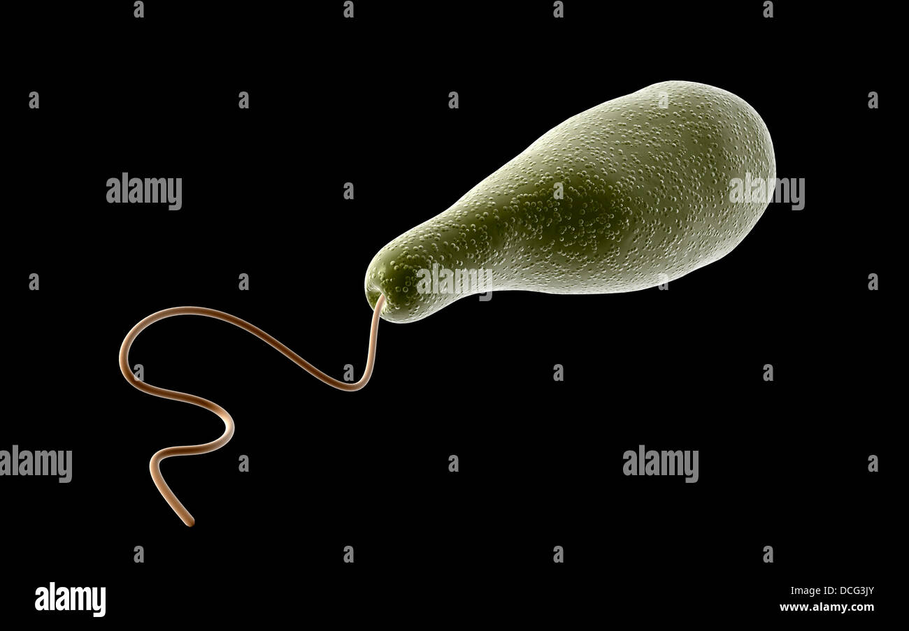 Image conceptuelle de l'euglène. Banque D'Images