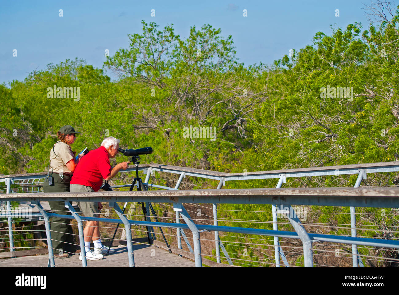 L'observation des oiseaux sur la rampe à Hawk Tour à Bentsen-Rio Grande Valley State Park, Mission, au Texas Banque D'Images