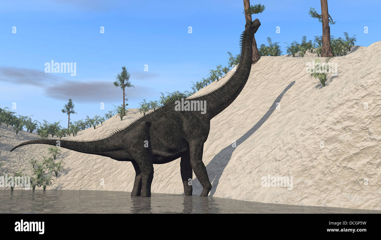 Grand Brachiosaurus debout dans un lac. Banque D'Images