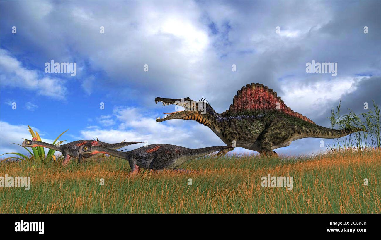 Chassant deux Gigantoraptors Spinosaurus. Banque D'Images