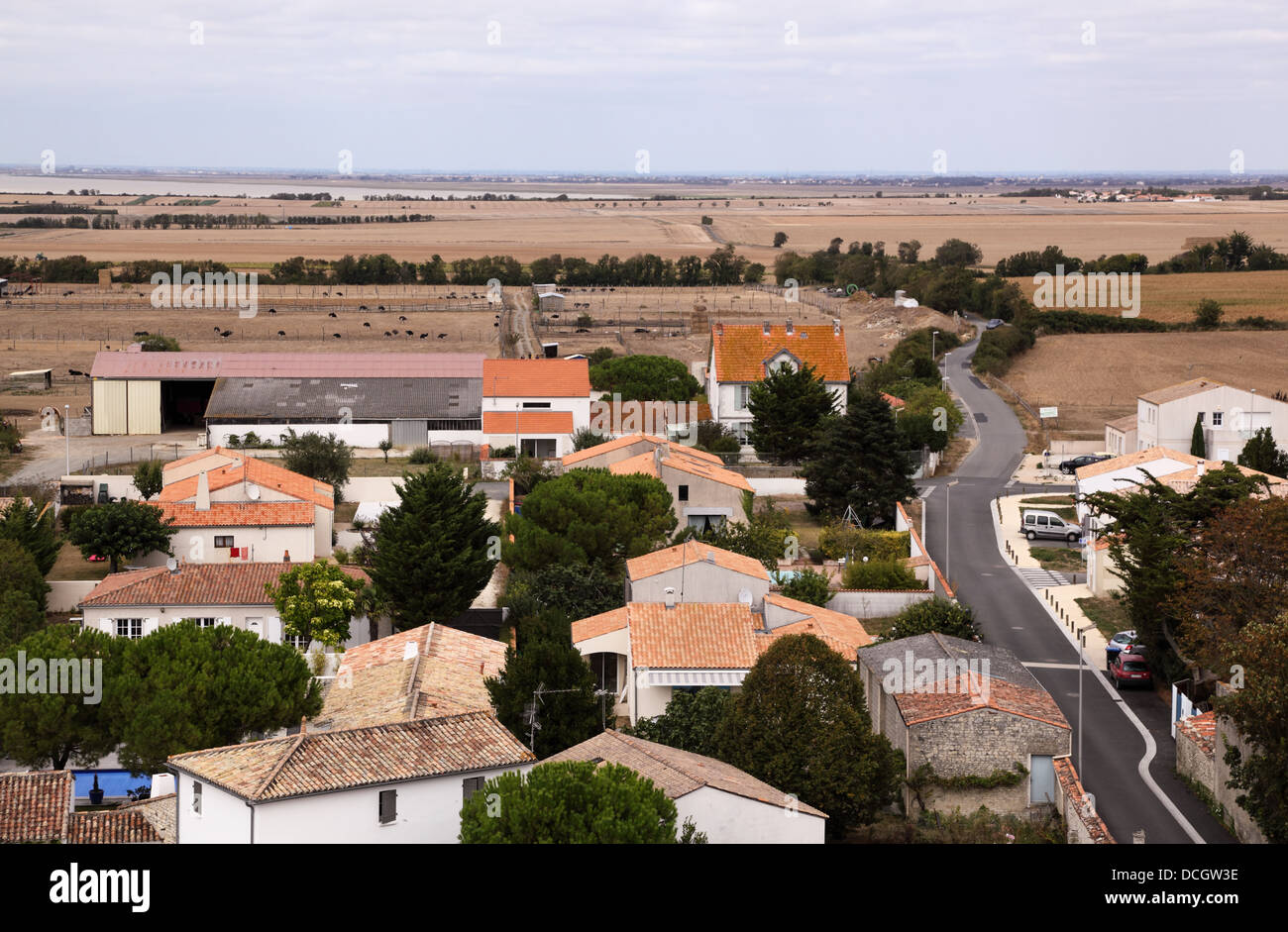 Portrait de Marsilly village près de la Rochelle en France à la mer avec vue sur ostrich farm Banque D'Images