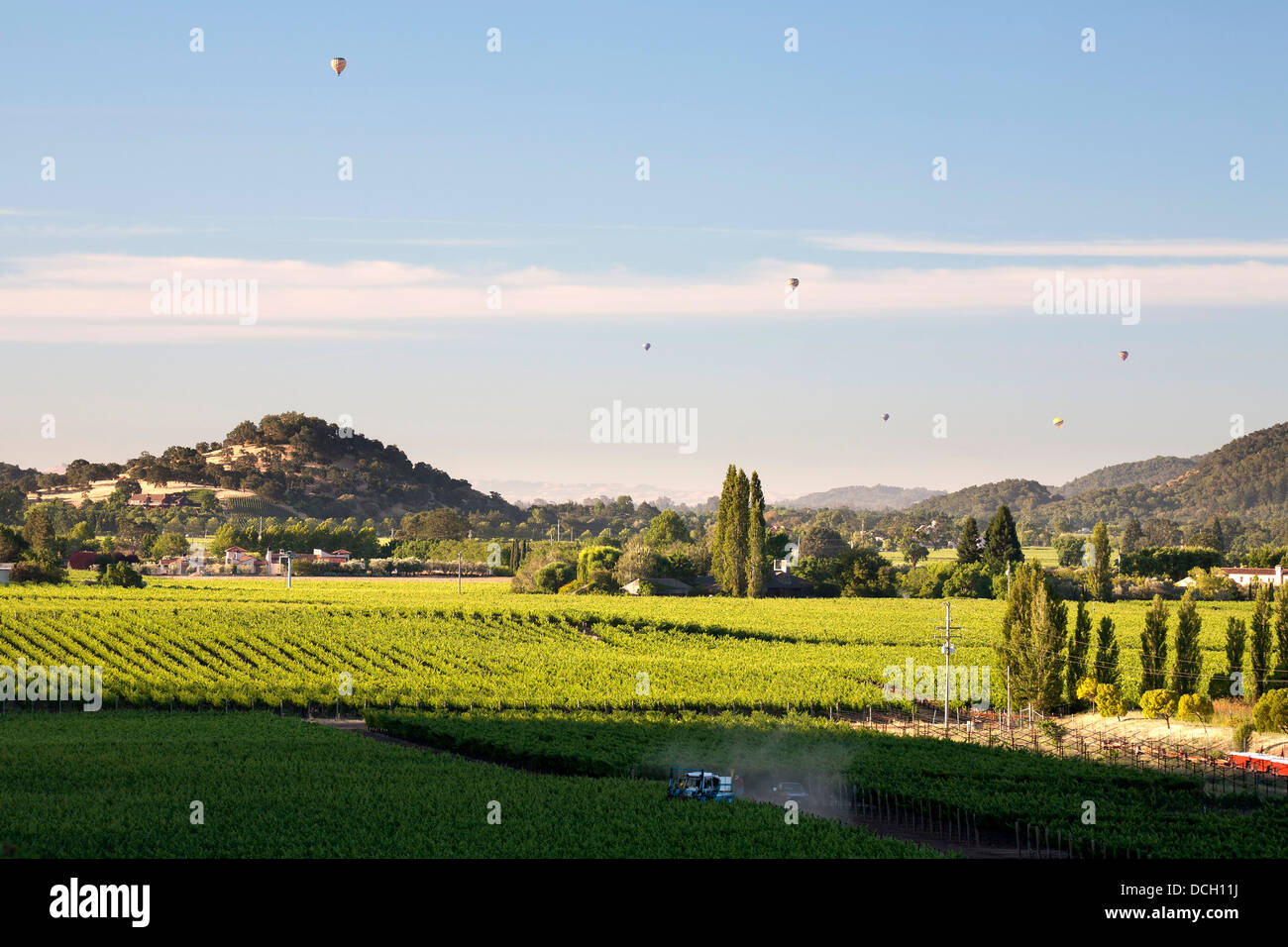 Les vignobles de Napa Valley Banque D'Images