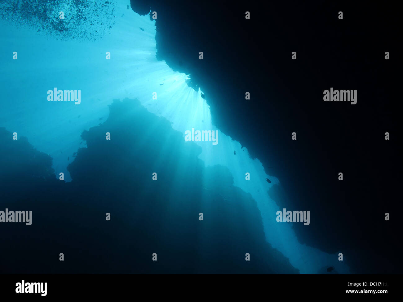 Rayons de briser sous l'eau, Bunaken, Indonésie Banque D'Images