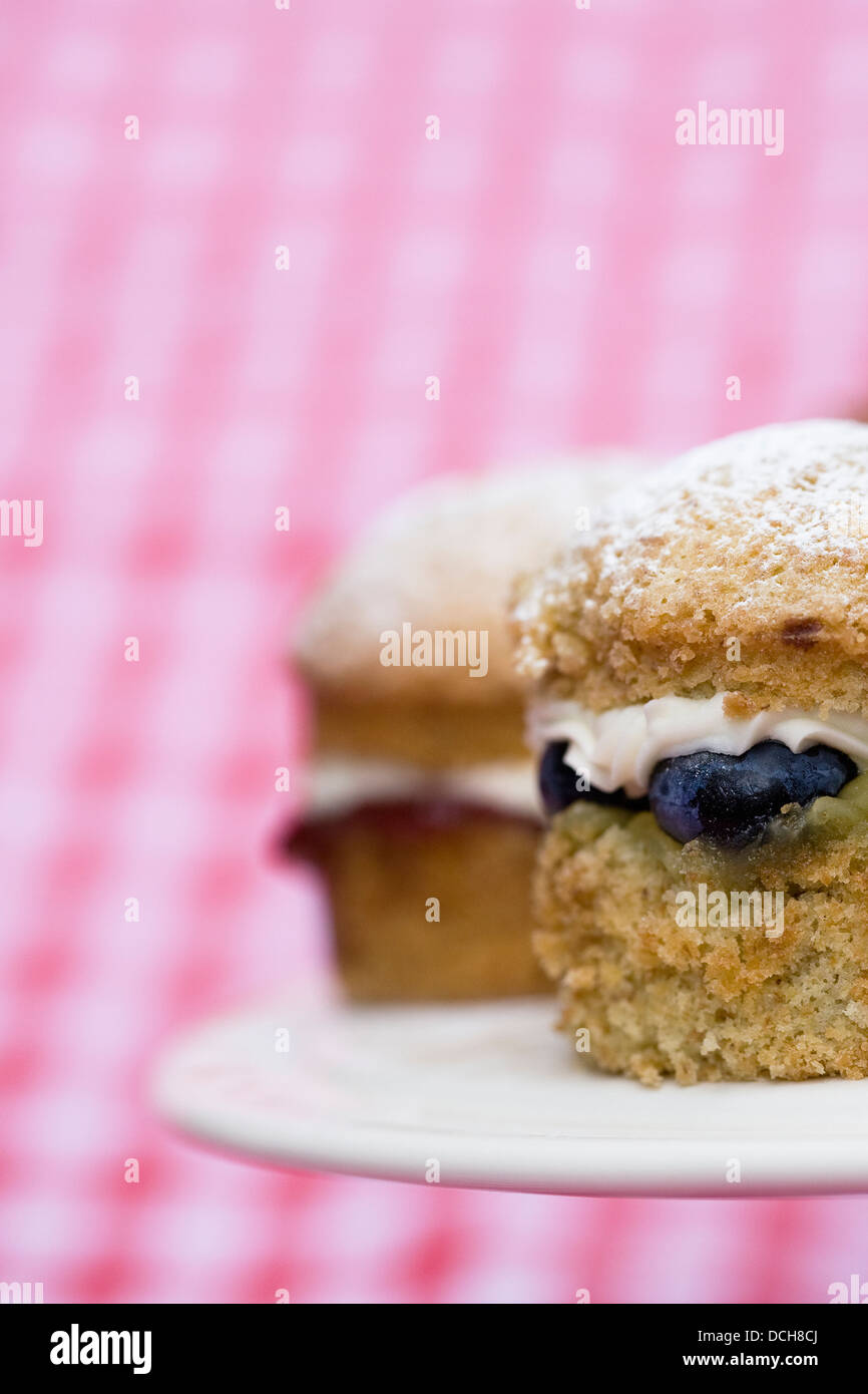 Mini gâteaux faits maison sandwich Victoria sur un arrière-plan vérifié. Banque D'Images