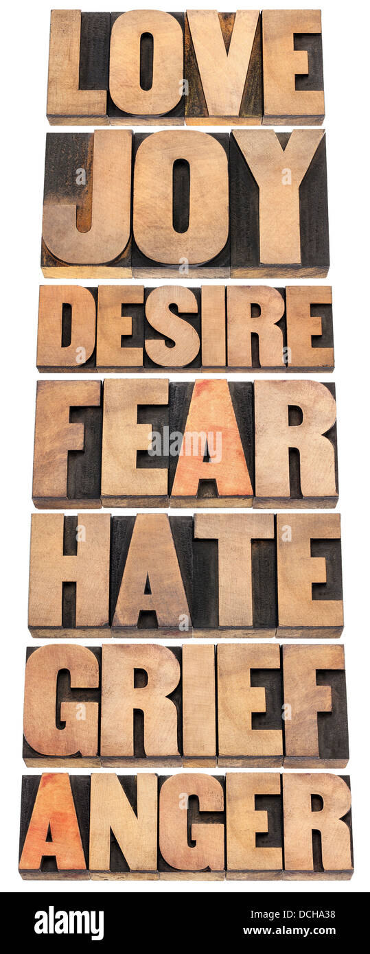 Sept émotions - l'amour, la joie, le désir, la peur, la haine, le chagrin et la colère - un collage de mots isolés en bois type letterpress Banque D'Images