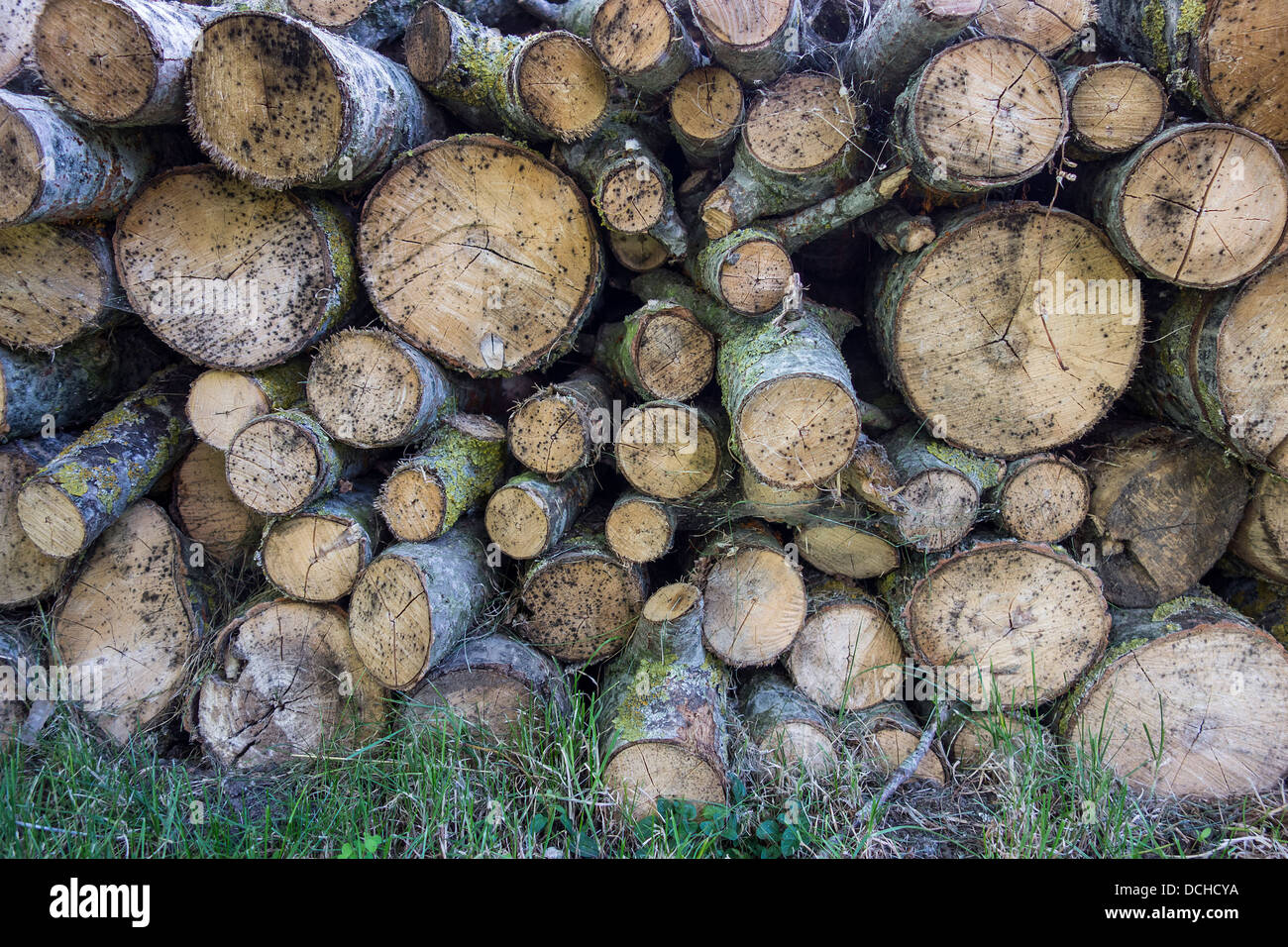 Pile de bois de sciage Log Pile à Combustible d'hiver Banque D'Images