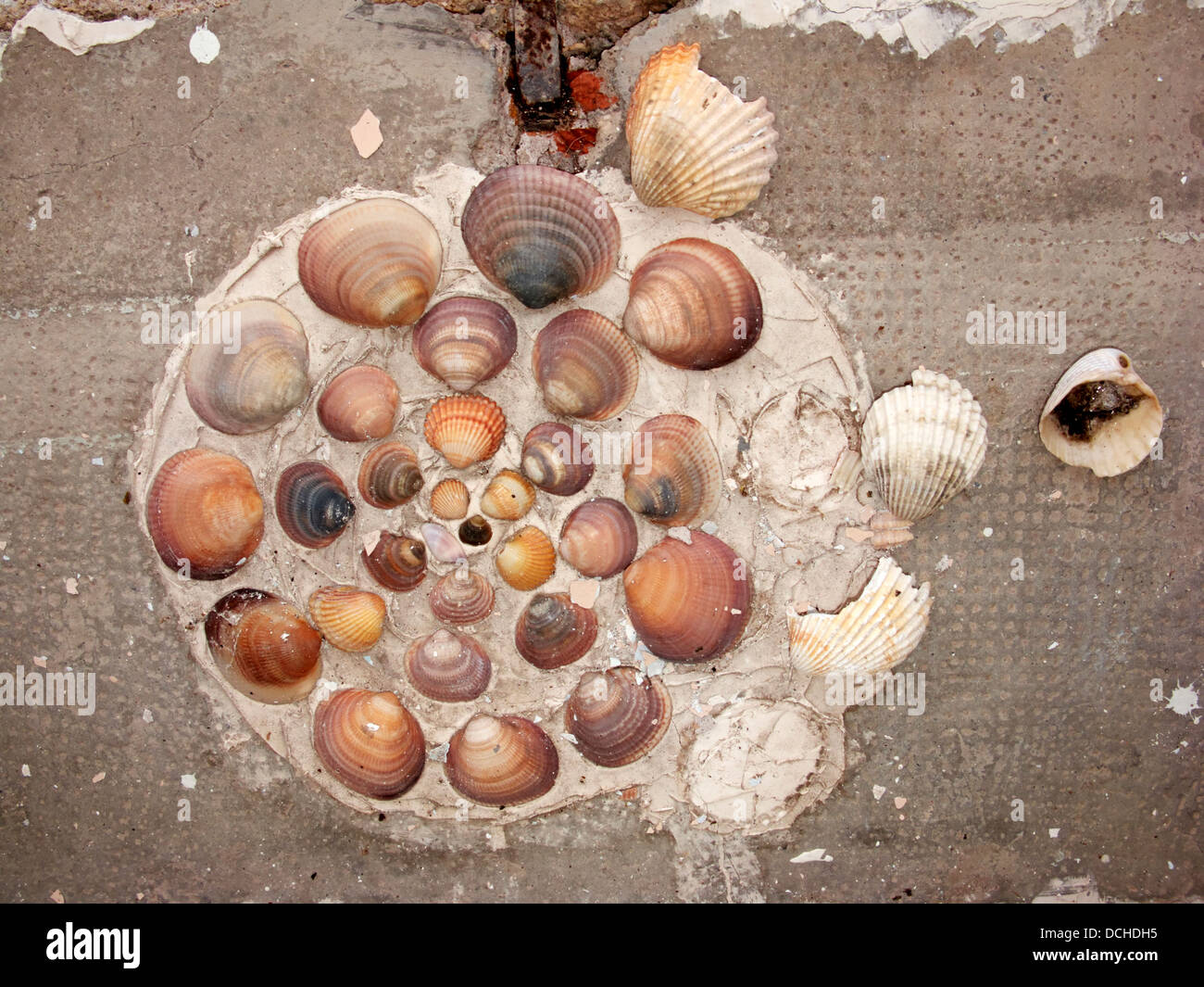 Accueil faites le seashell art dans de pathway Banque D'Images