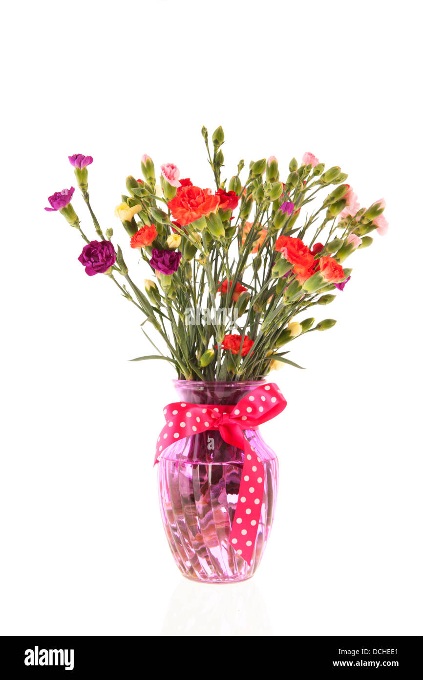 Bouquet coloré en verre rose Dianthus vase isolé sur fond blanc Banque D'Images