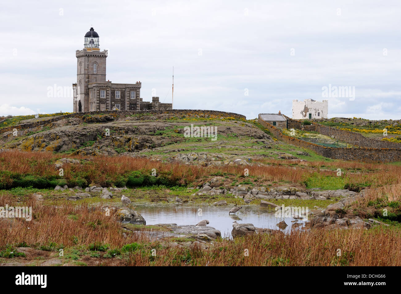 Le phare sur l'île de mai, Ecosse, Royaume-Uni Banque D'Images
