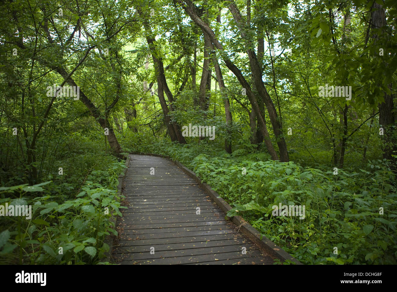 Ashland Nature Center, Hockessin, Delaware. Photo par Janet Porter Fiérement Banque D'Images