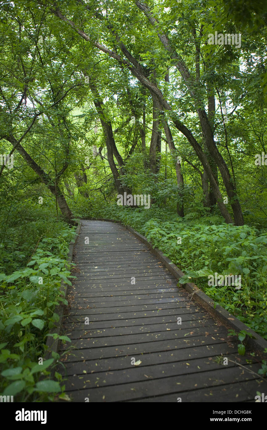 Ashland Nature Center, Hockessin, Delaware. Photo par Janet Porter Fiérement Banque D'Images