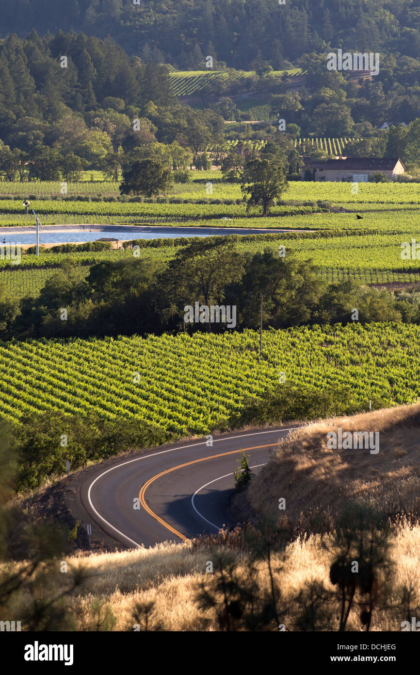 Les vignobles de Napa Valley Banque D'Images